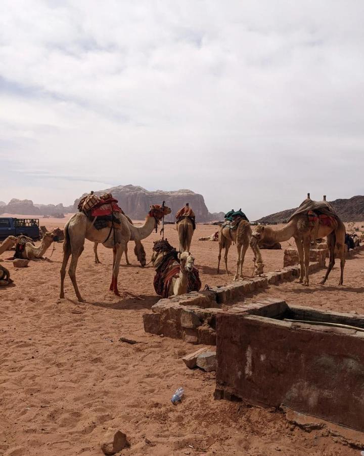 Wadi rum fun time tour's Extérieur photo