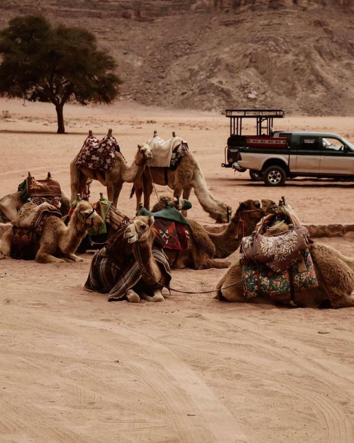 Wadi rum fun time tour's Extérieur photo