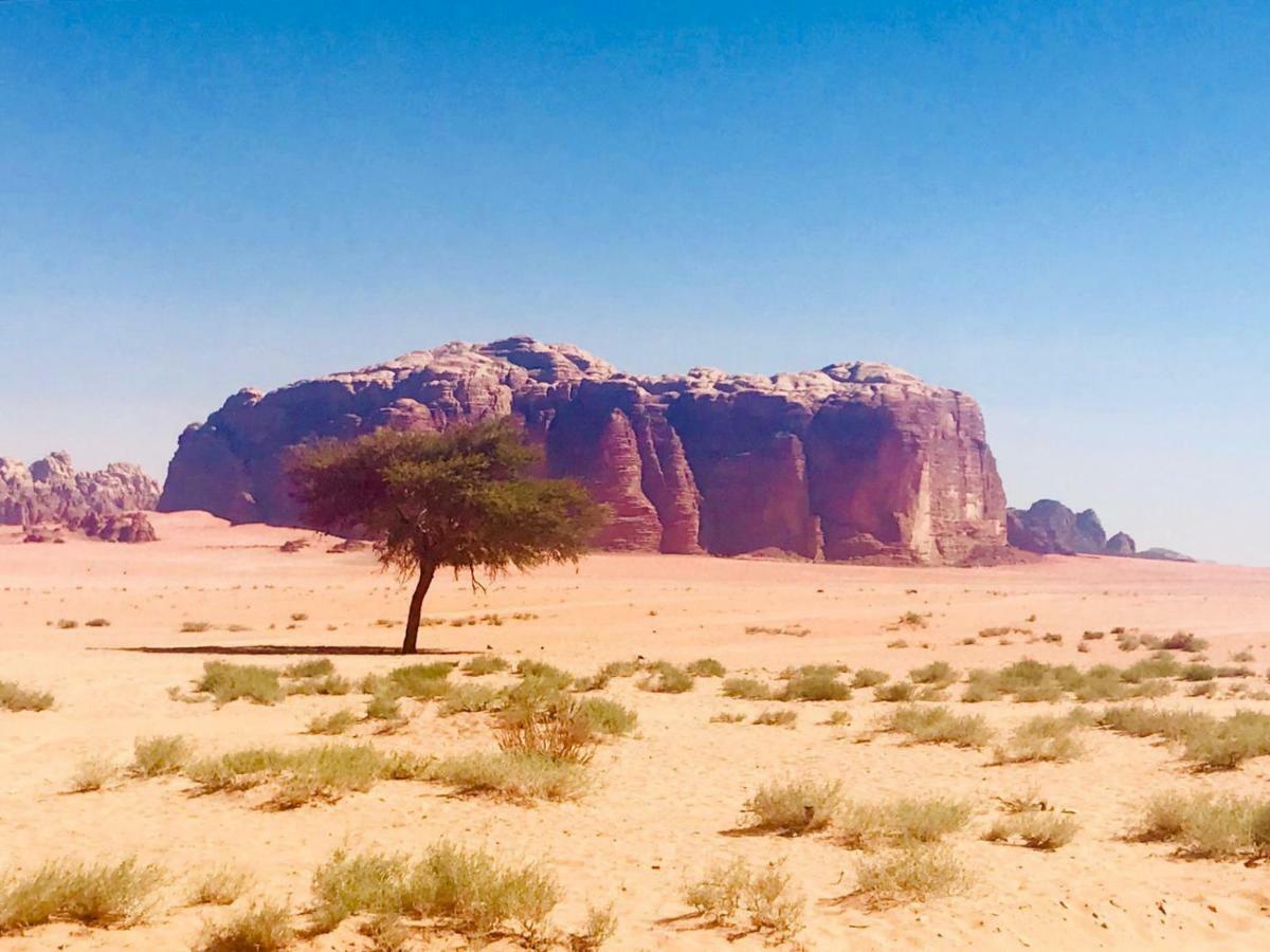 Wadi rum fun time tour's Extérieur photo