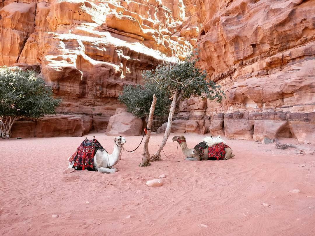 Wadi rum fun time tour's Extérieur photo